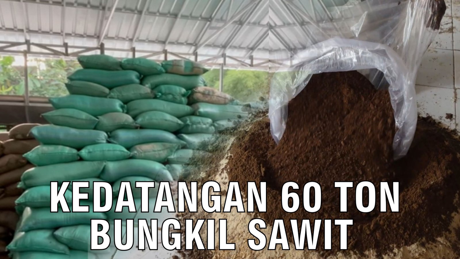 
                                 Bungkil-Sawit-Pakan-Ternak-60-Ton